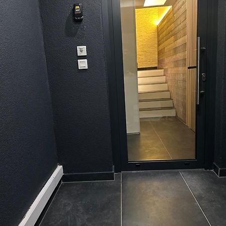 Magnifique Logement Proche De Colmar Parking Wifi Wintzenheim Dış mekan fotoğraf